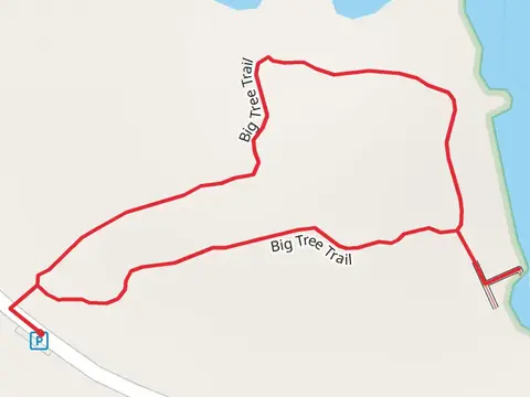 Big Tree Loop Trail from Auto Tour Loop