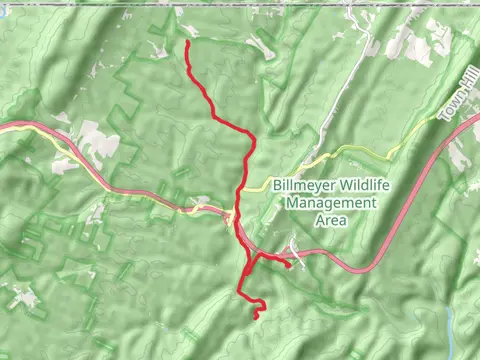 Pine Lick Trail and Fifteenmile Creek