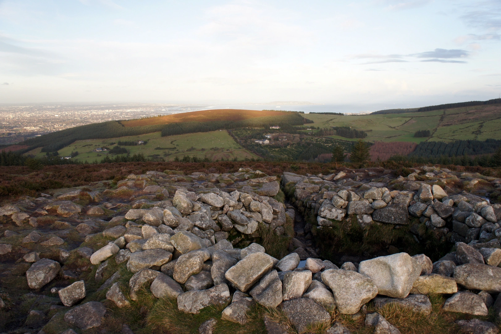 An image depicting the trail Tibradden Mountain Trail and its surrounding area.