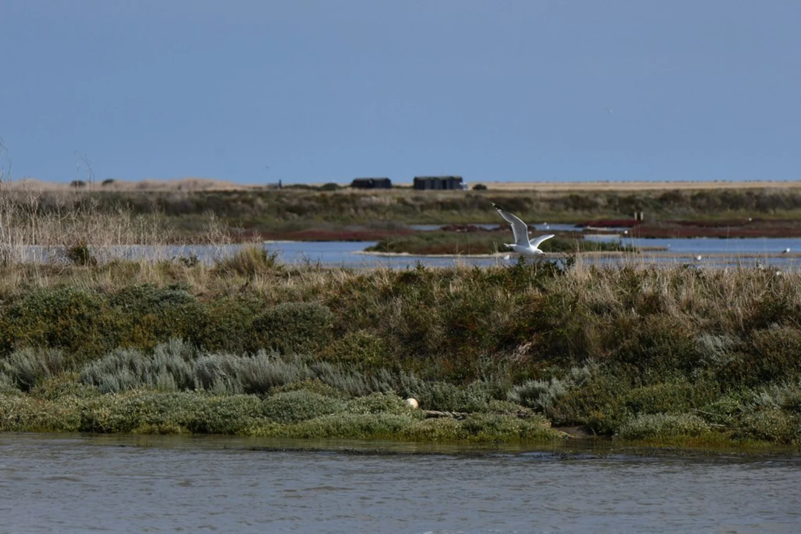 An image depicting the trail Fort Perch Rock via Magazines Promenade and Wirral Trail and its surrounding area.