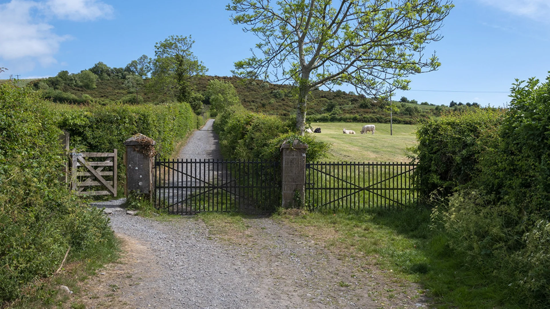 An image depicting the trail Cregagh Glen and Lisnabreeny and its surrounding area.