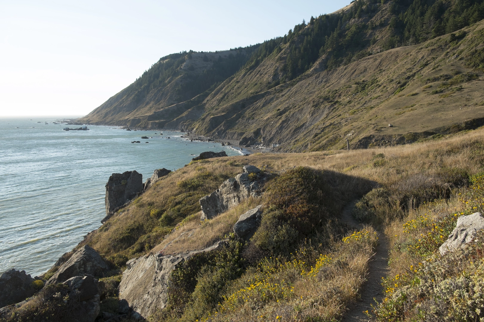 An image depicting the trail King Crest, King Peak and Lost Coast Loop Trail and its surrounding area.