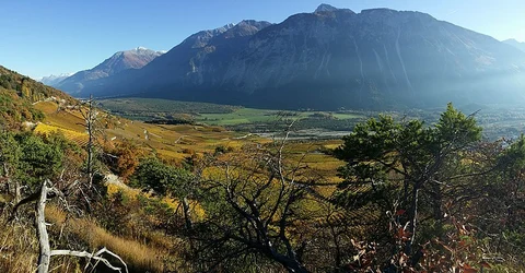 Vineyard Trail between Salgesch and Sierre