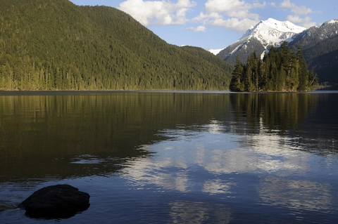 An image depicting the trail Packwood Lake Trail and its surrounding area.