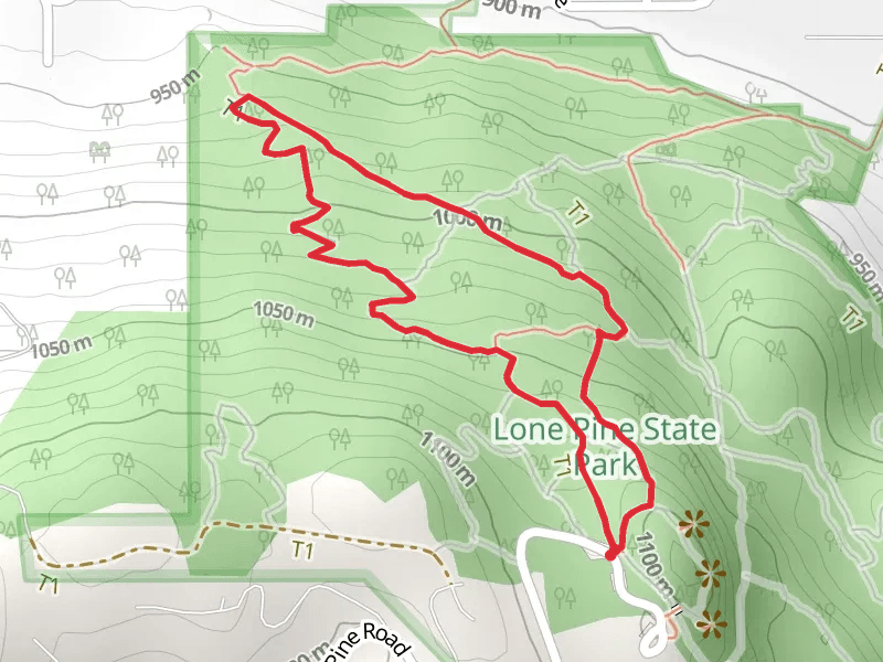 Lone Pine and Western Larch Loop Trail - Short