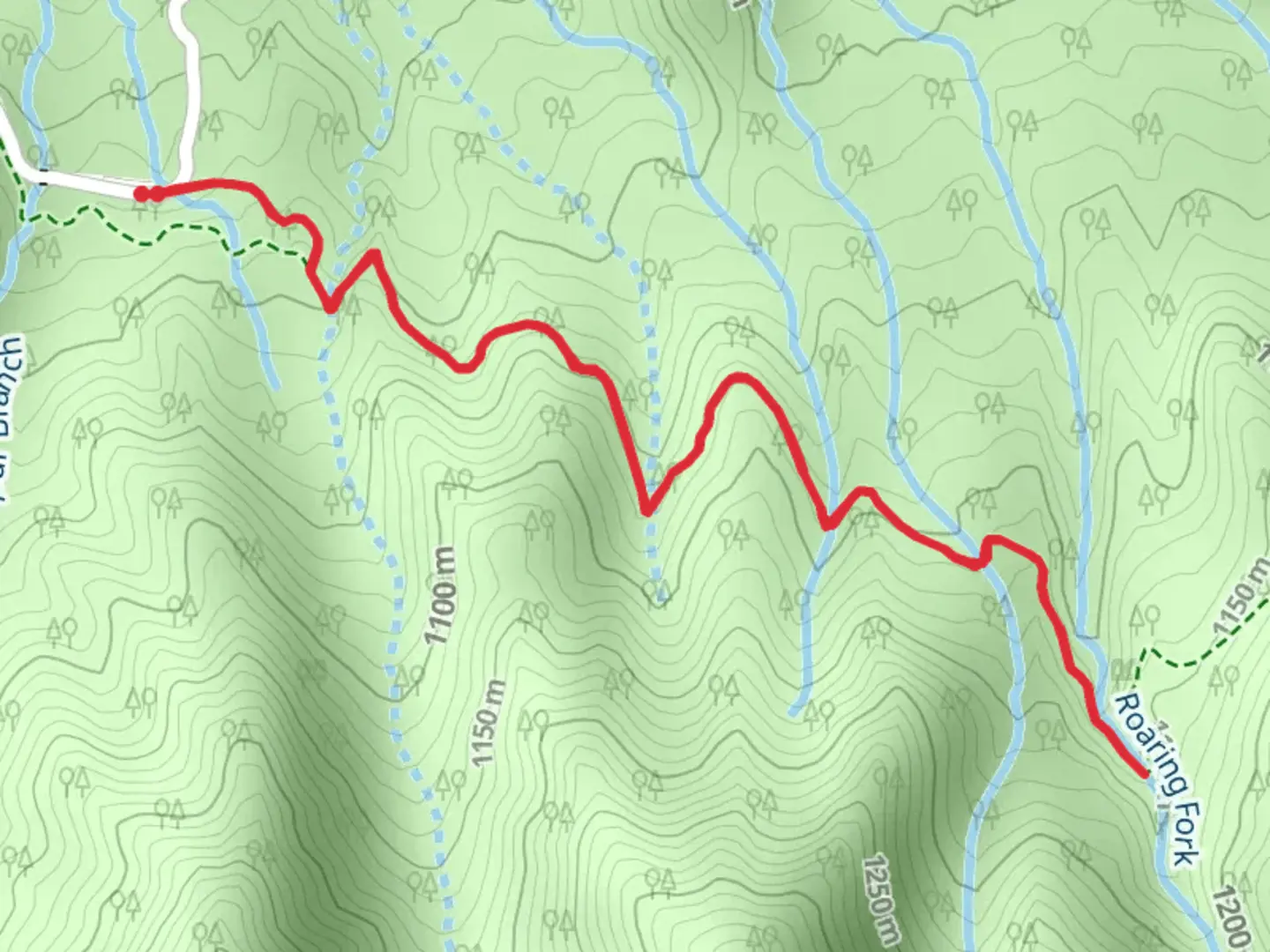 An image depicting the trail Trillium Gap Trail and its surrounding area.
