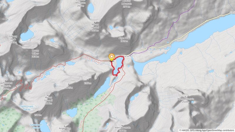 Swiftcurrent Lake Loop