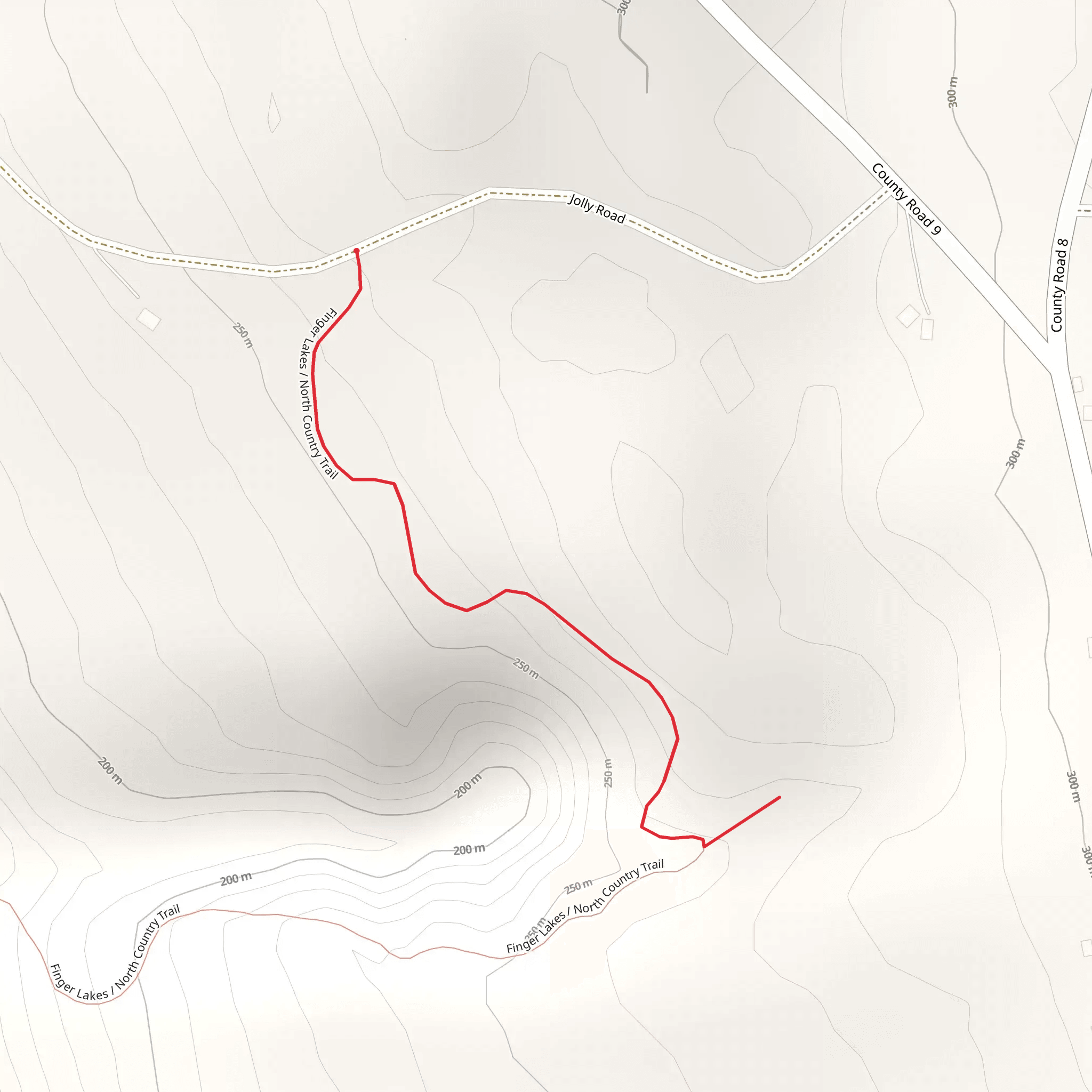 Jolly Road South Trail via Finger Lakes Trail mobile static map