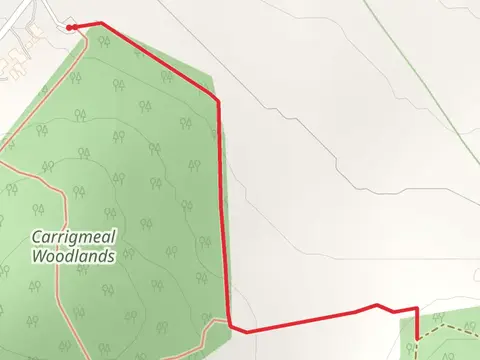 Carrigmeal Woodland Loop - Milos