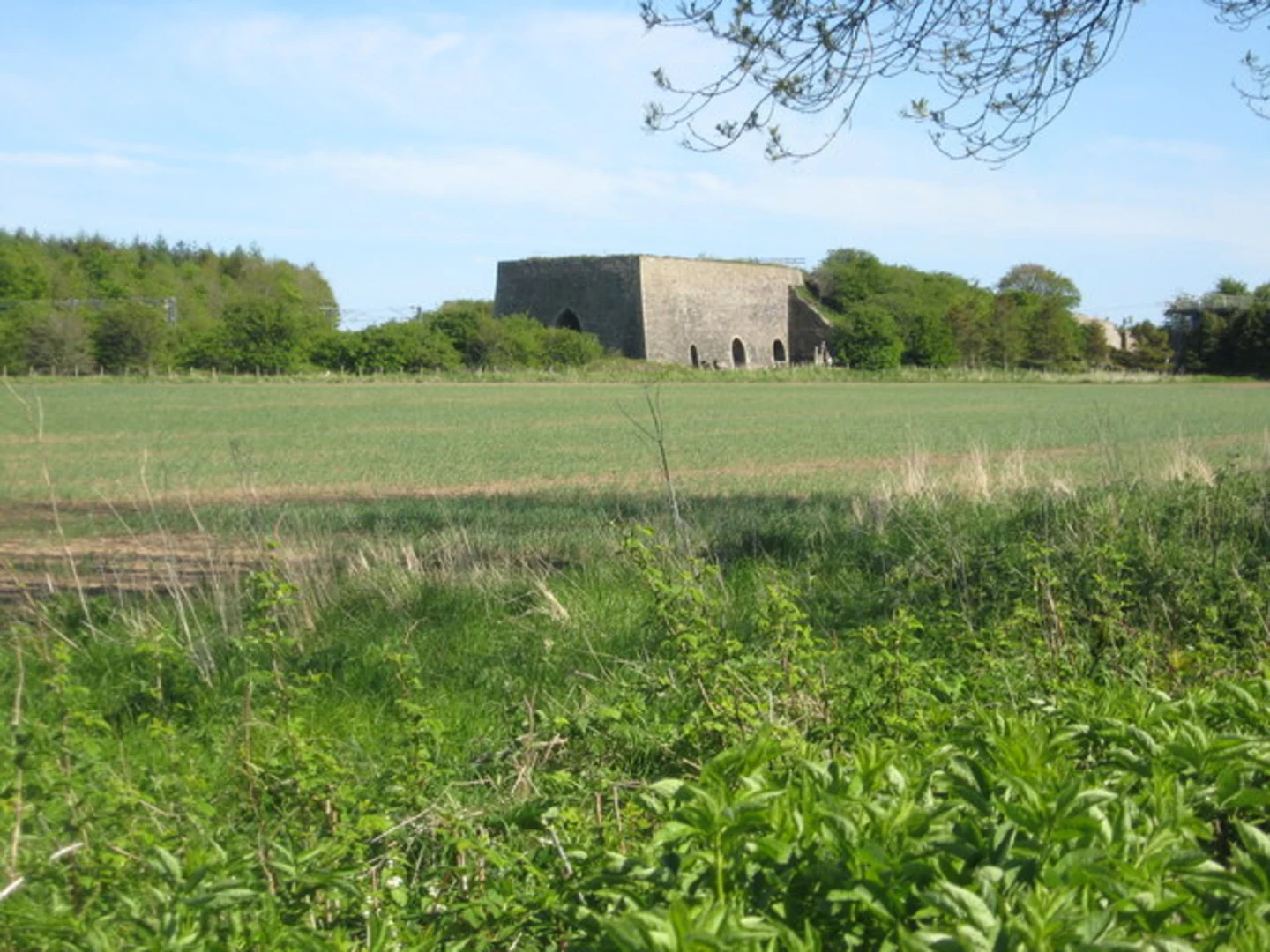 An image depicting the trail Longhoughton Loop and its surrounding area.