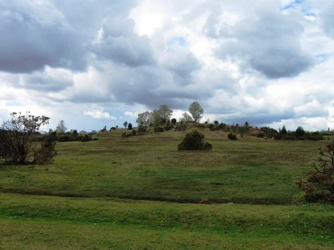 An image depicting the trail Stagbury Mount and Crock Hill Loop and its surrounding area.