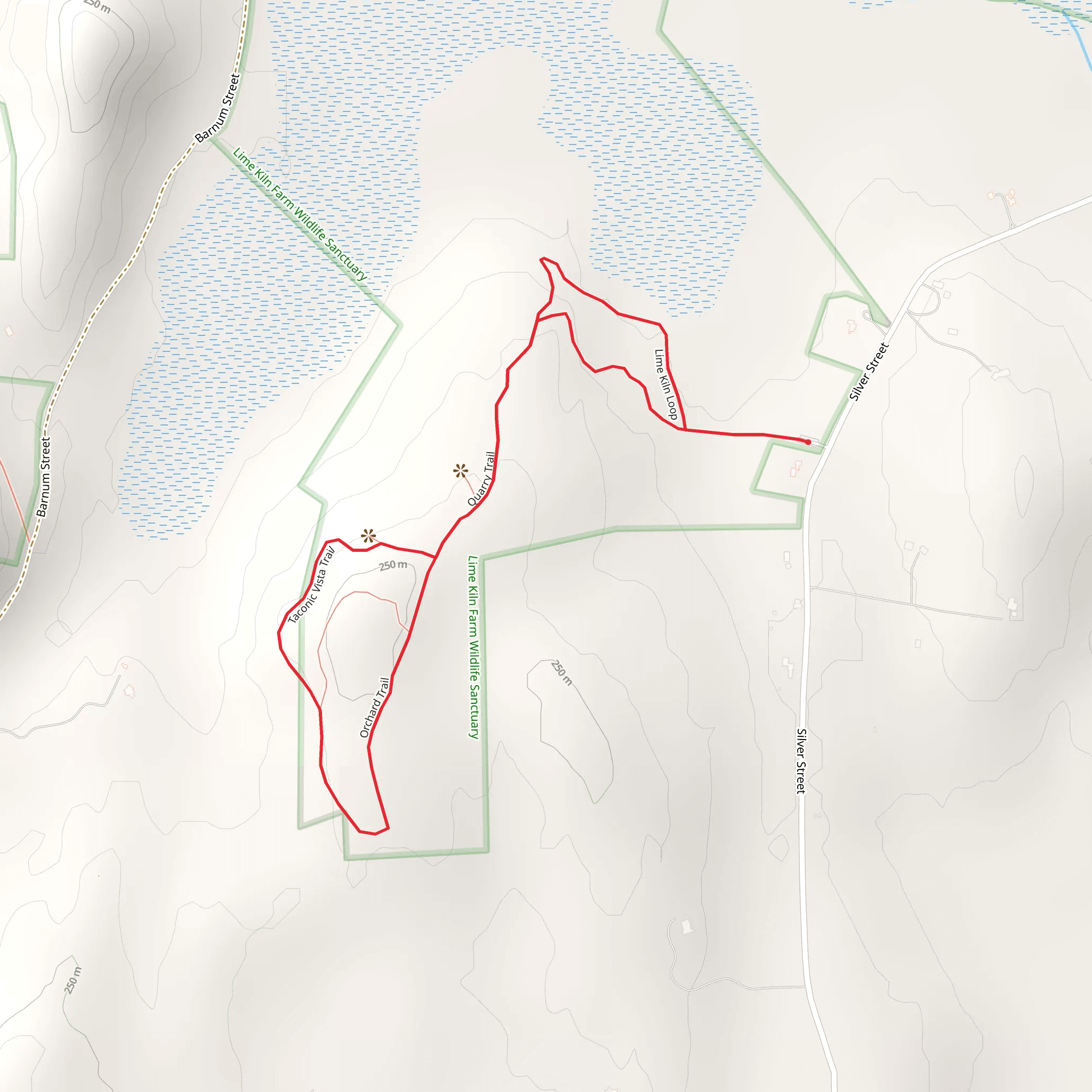 Silver Street Loop mobile static map