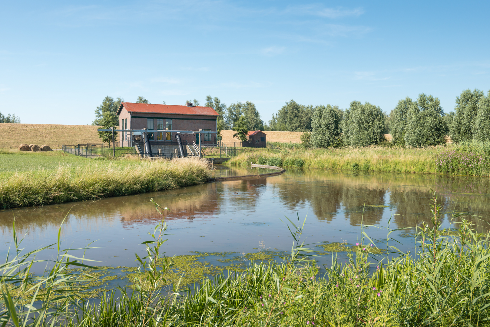 An image depicting the trail Oude Weg, Reedijk and Groenendijk Loop and its surrounding area.