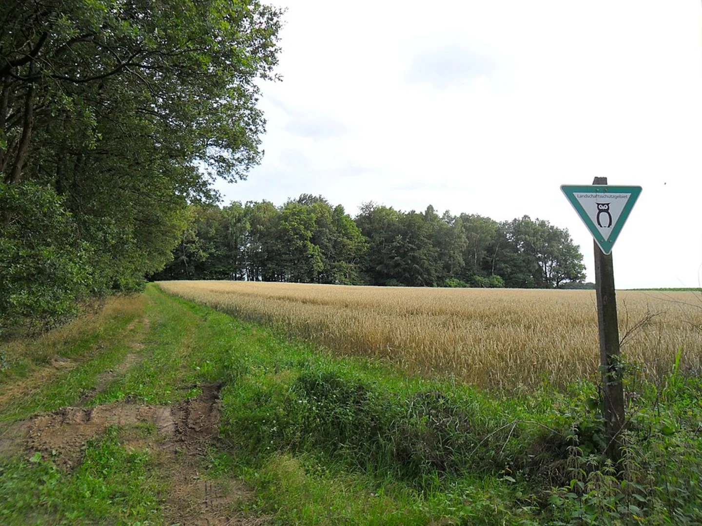 An image depicting the trail Jungfernbrunnen Loop via Buchenau and its surrounding area.