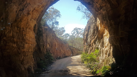 Glow Worm Tunnel Loop Trail