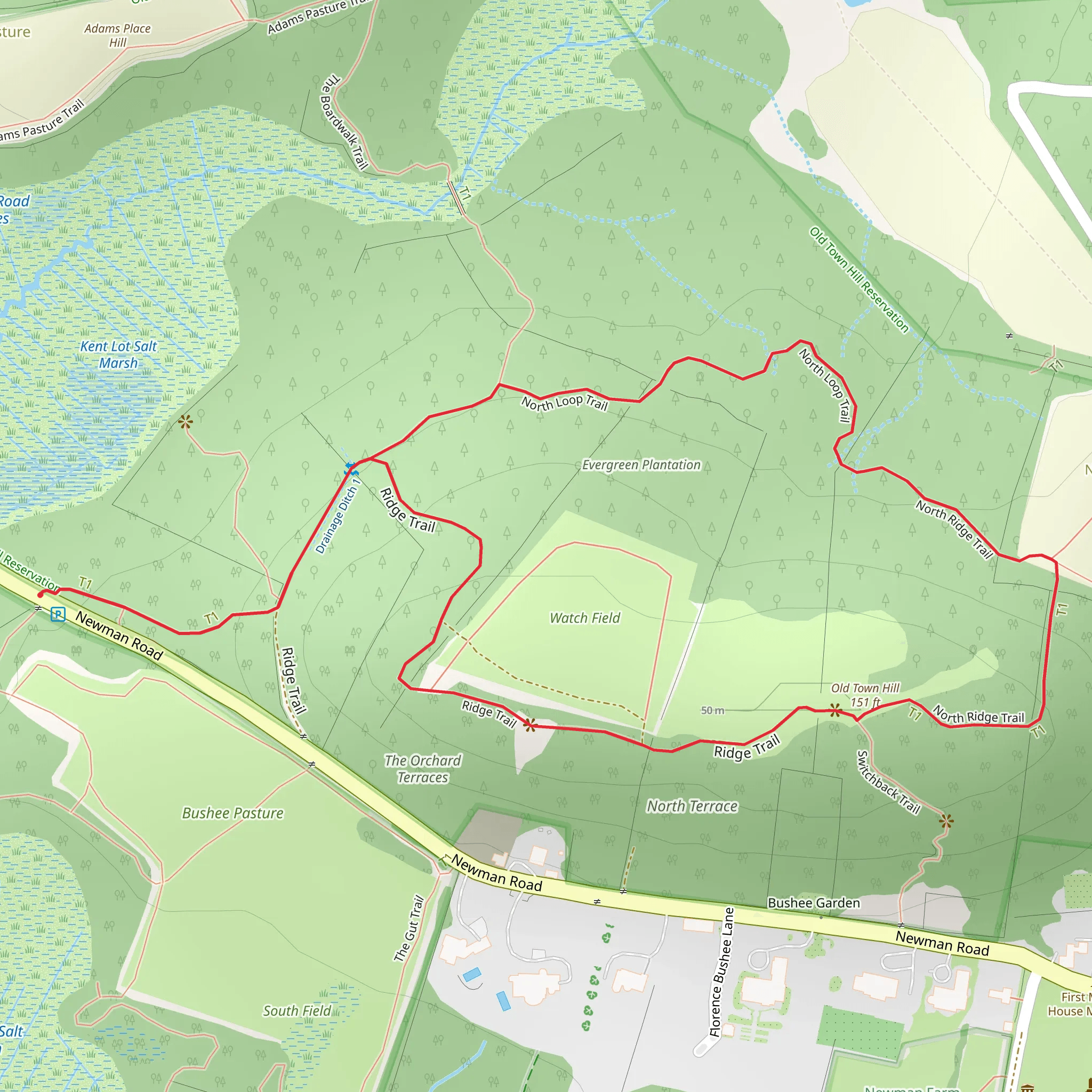 Evergreen Plantation - Old Town Hill Loop mobile static map
