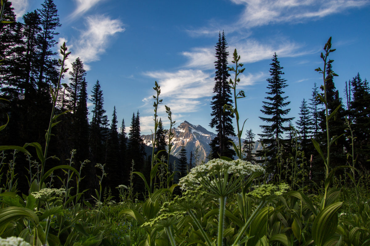 Hidden Springs via North Fork Tieton Trail