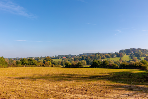 Vijlenerbosch, Malenbosch and Oosterberg Loop