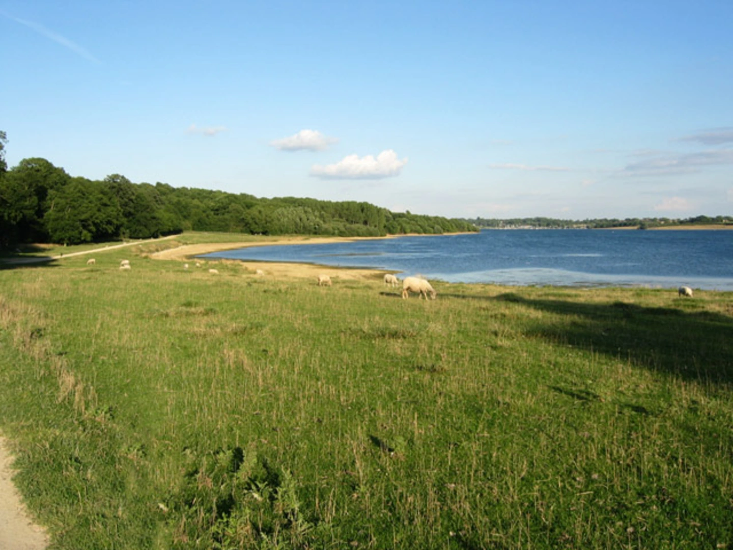 An image depicting the trail Hambleton Peninsula Circular and its surrounding area.