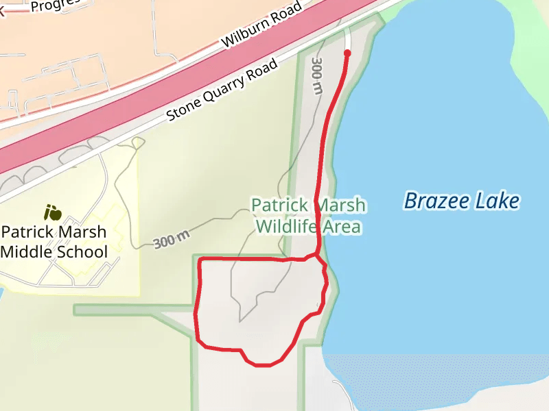 Brazee Lake Westside Loop