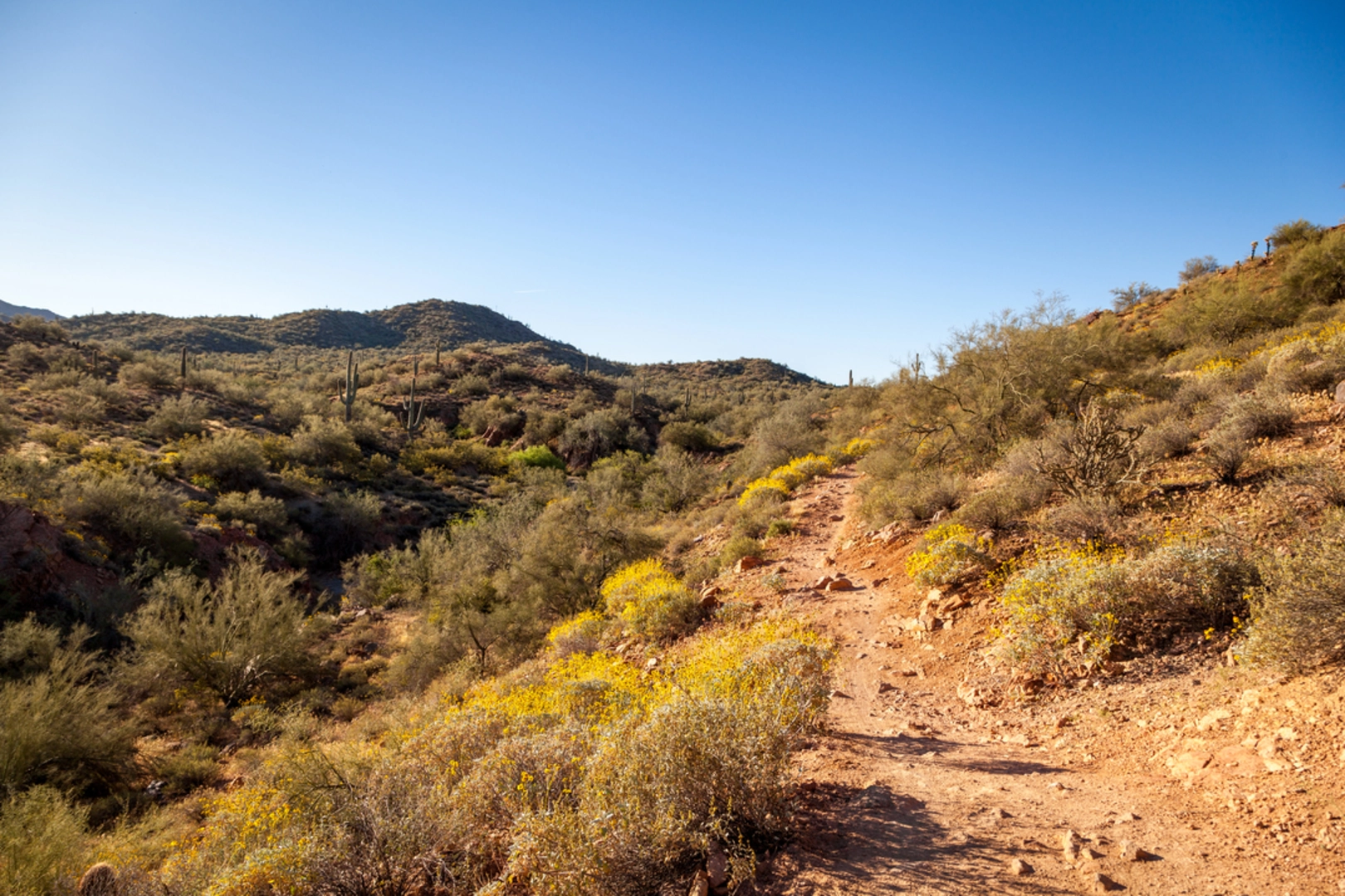 An image depicting the trail Hawes Trail and its surrounding area.