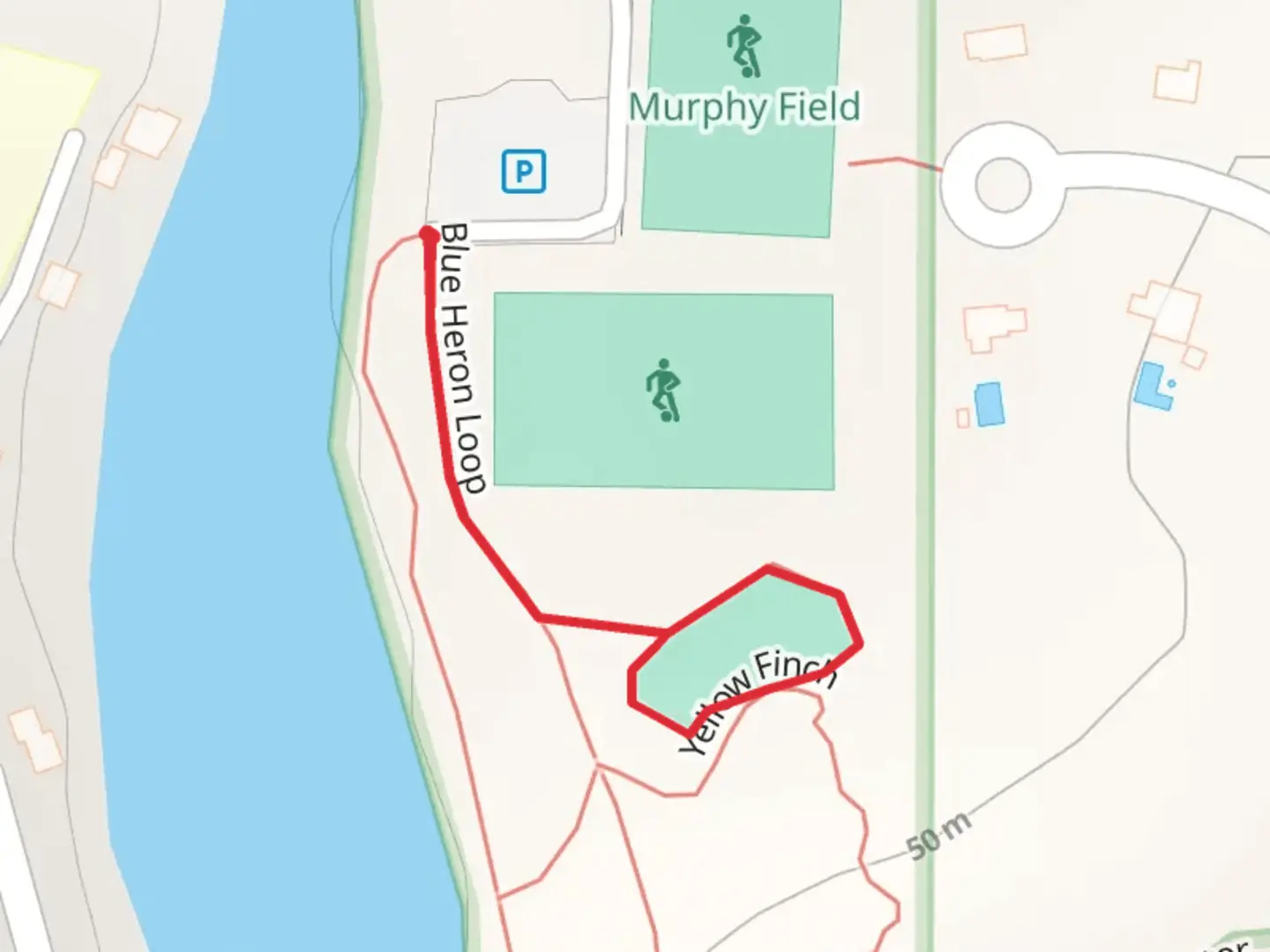 An image depicting the trail Blue Heron Loop and Pump Track and its surrounding area.