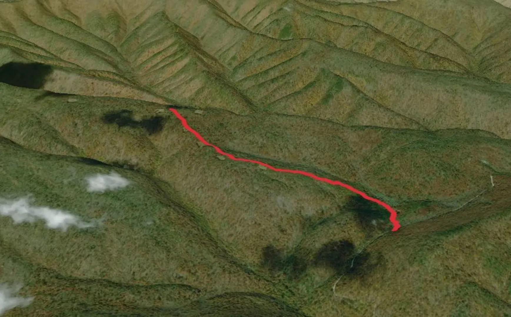 An image depicting the trail Mud Pond Gap Trail and its surrounding area.