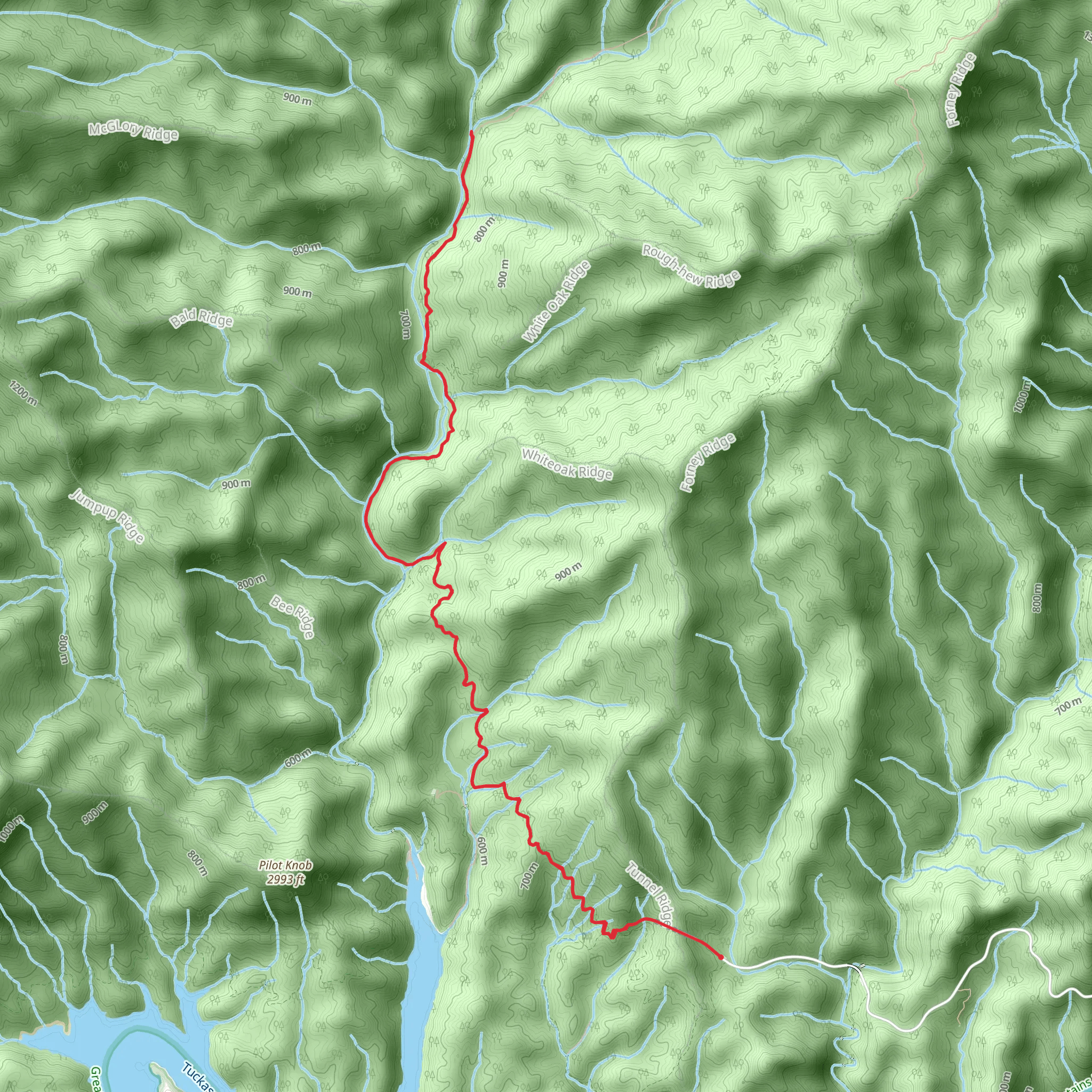 Lakeshore and Forney Creek Trail mobile static map