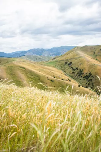 Mount Vernon Farm and Valley Track Loop