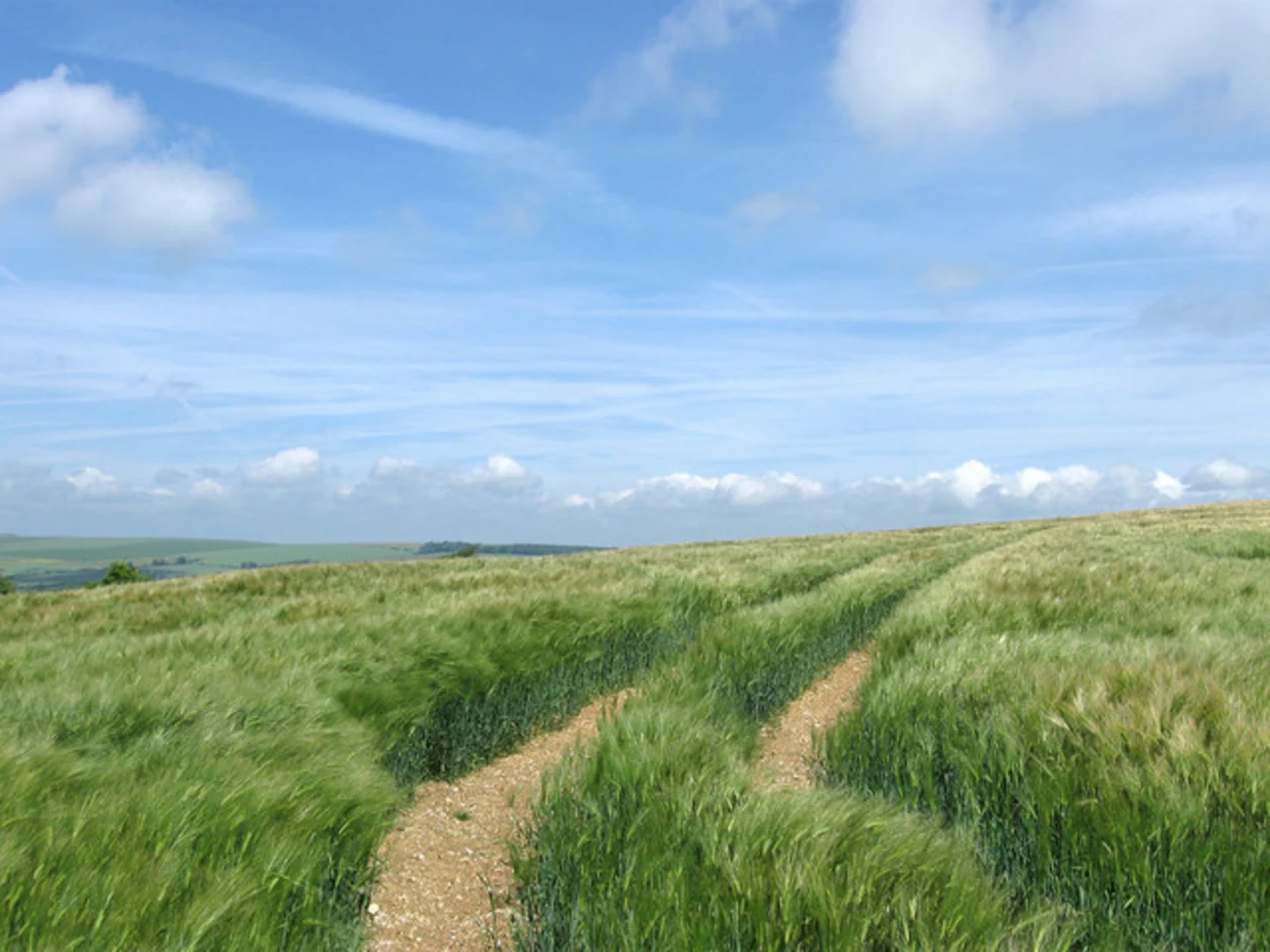 An image depicting the trail Findon Loop and its surrounding area.