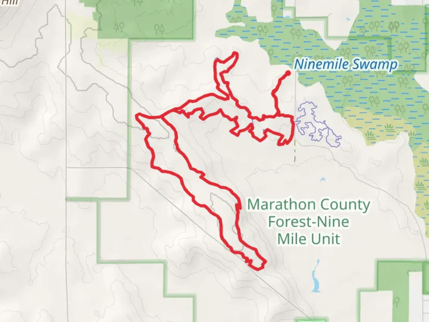 An image depicting the trail The Pines, Up Nort and Chain Smoker Loop and its surrounding area.