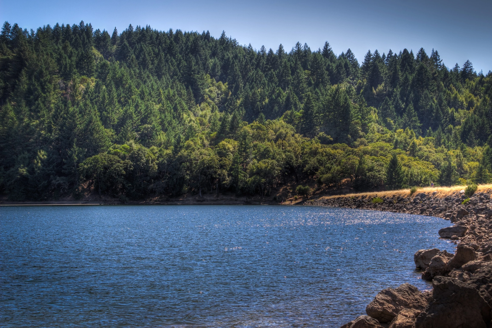 An image depicting the trail Bon Tempe and Lagunitas Lakes Loop and its surrounding area.