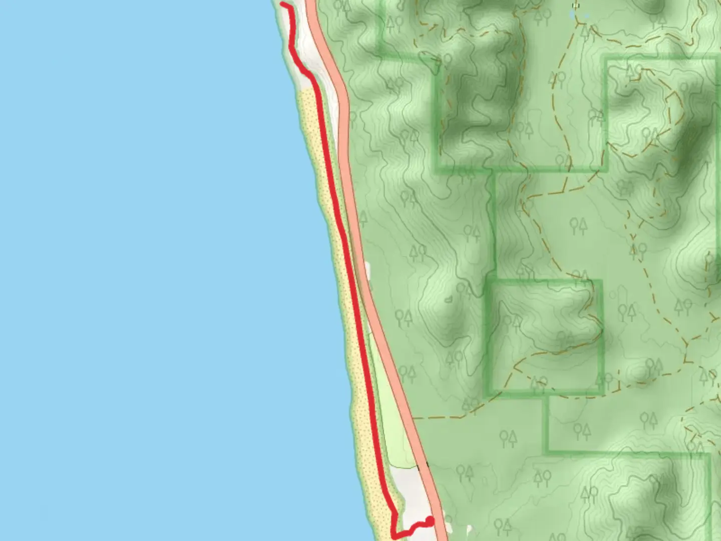 An image depicting the trail Kalaloch Beaches and its surrounding area.