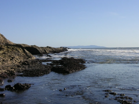 An image depicting the trail Duxbury Reef Trail and its surrounding area.