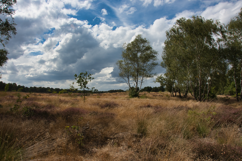 Lozerheide, Kettinghoeve, Grote Ijzeren Man and De Stoeiing Loop