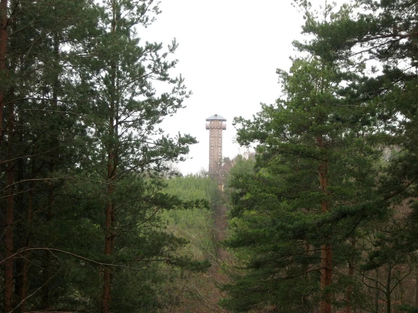 An image depicting the trail Köthen to Krausnick via Paul Gerhardt Weg and its surrounding area.
