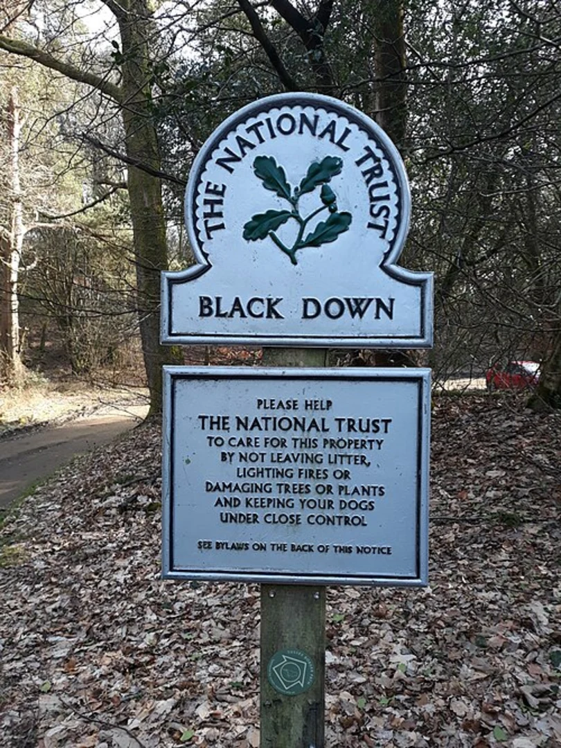 An image depicting the trail Haste Hill and Valewood Park Loop and its surrounding area.