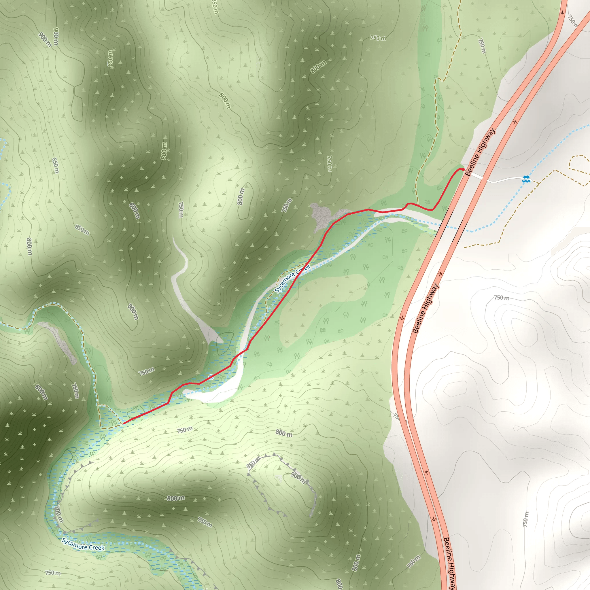 Sycamore Creek Out and Back mobile static map