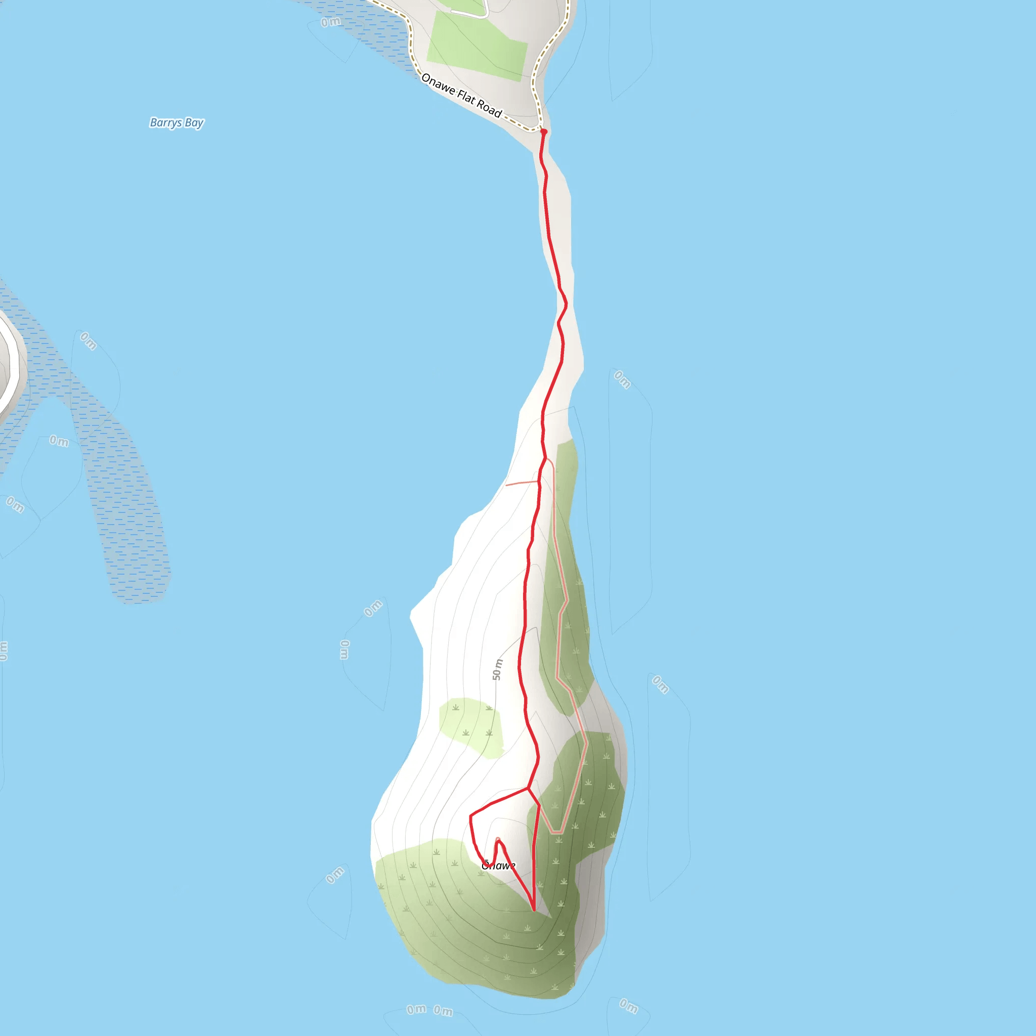 Onawe Pa Track mobile static map