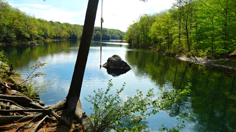 An image depicting the trail Nine Corner Lake Trail and its surrounding area.