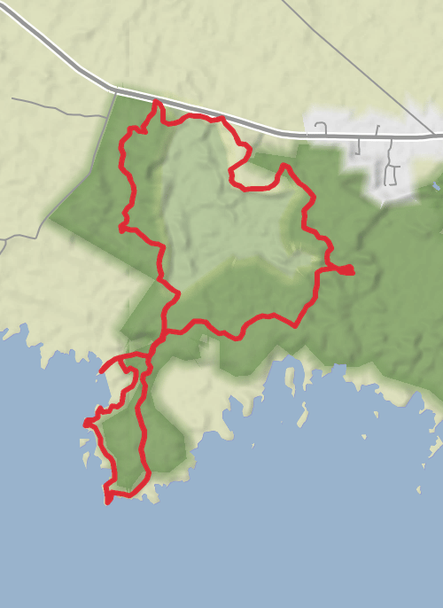 Portumna Forest  mobile static map