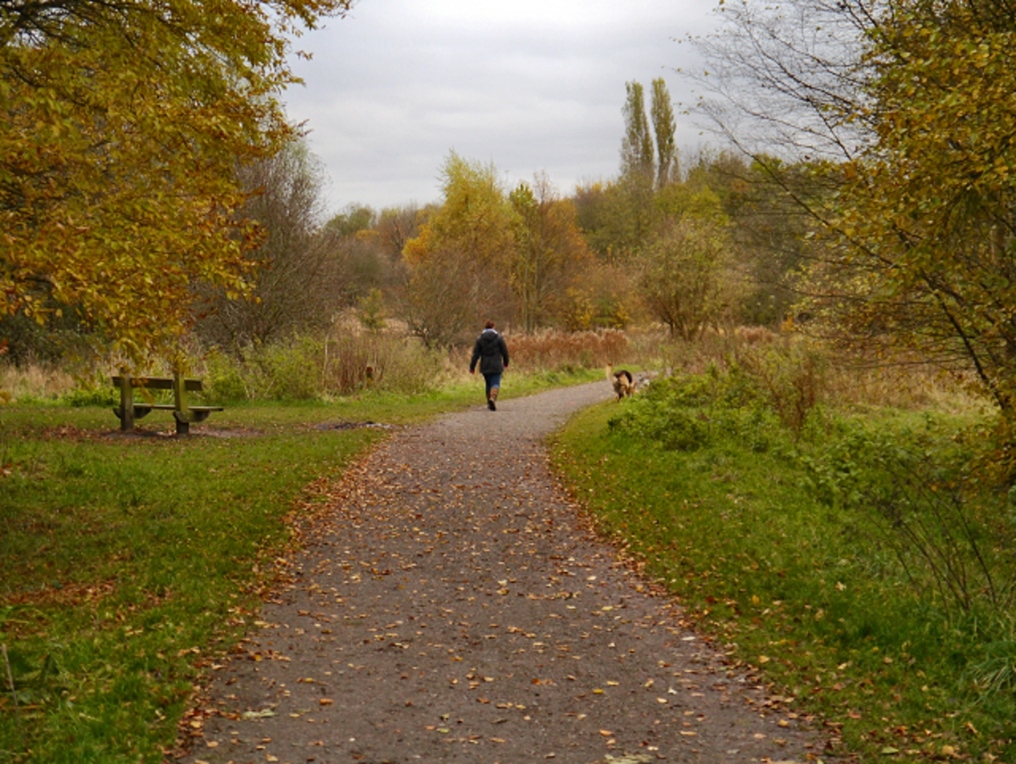 An image depicting the trail Highfield Country Park Loop and its surrounding area.