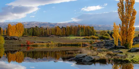 An image depicting the trail Butchers Dam Loop Track and its surrounding area.