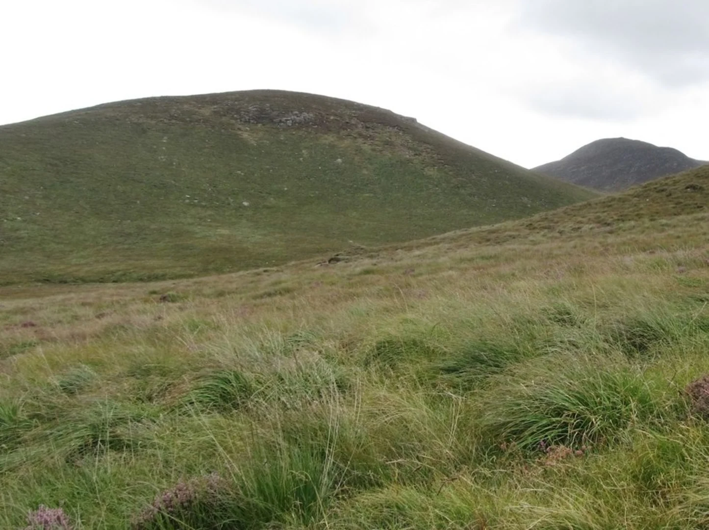 An image depicting the trail Hen - Peigon and Wee Slievemoughan Loop and its surrounding area.