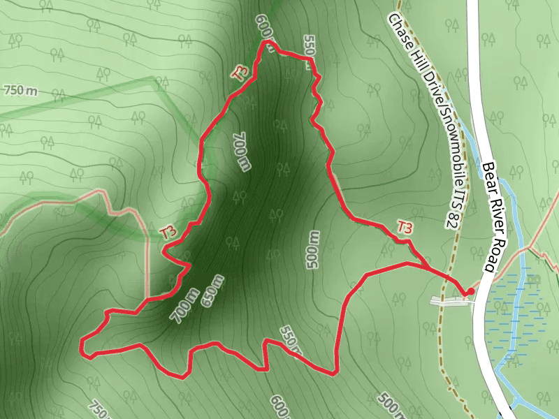 Eyebrow Trail and Grafton Loop Trail