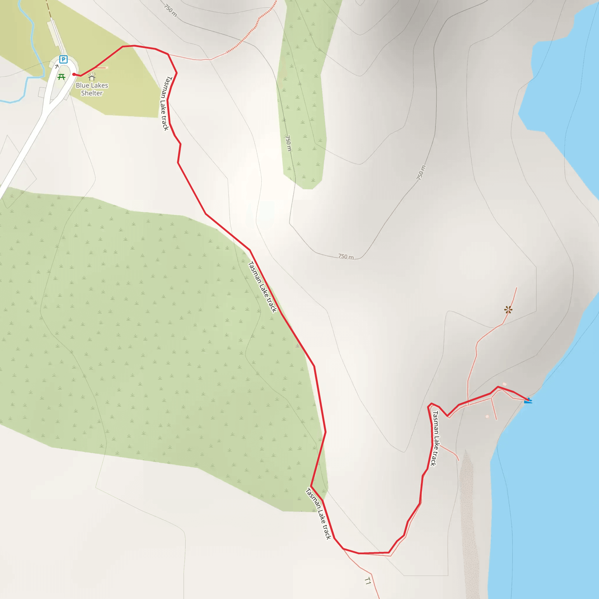 Tasman Glacier Lake mobile static map