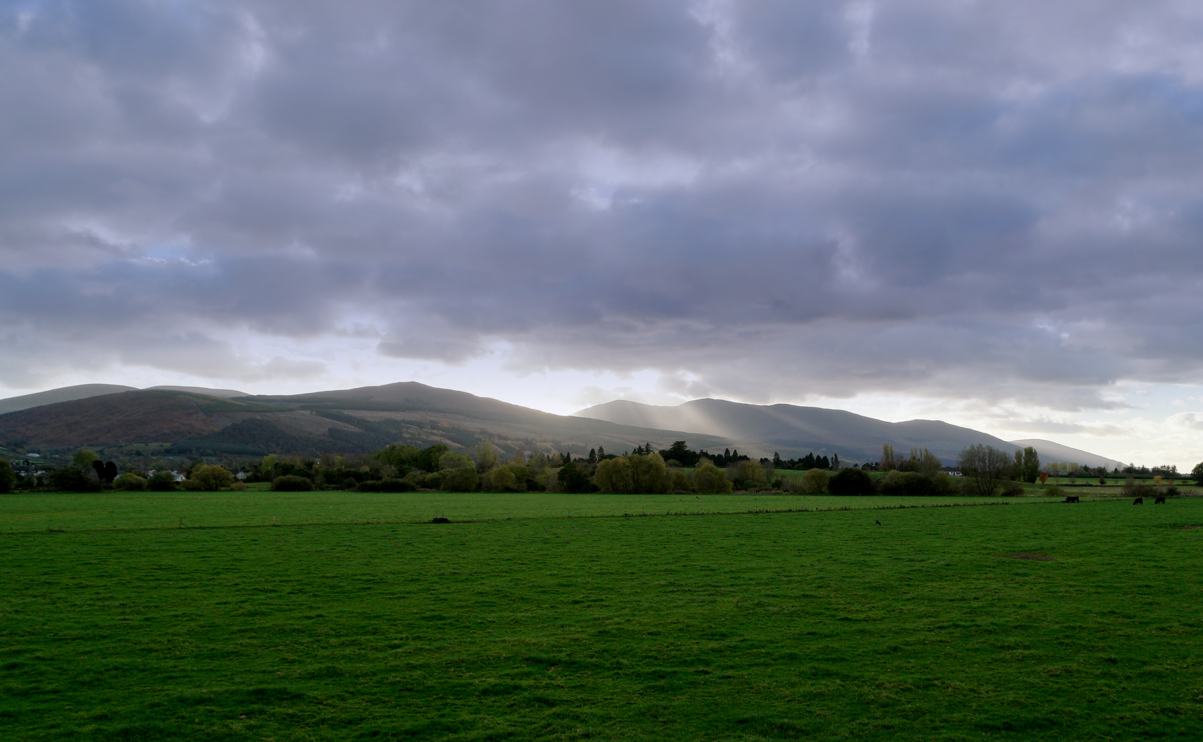 An image depicting the trail Knockmealdowns Trails - Sheep Hill Loop and its surrounding area.