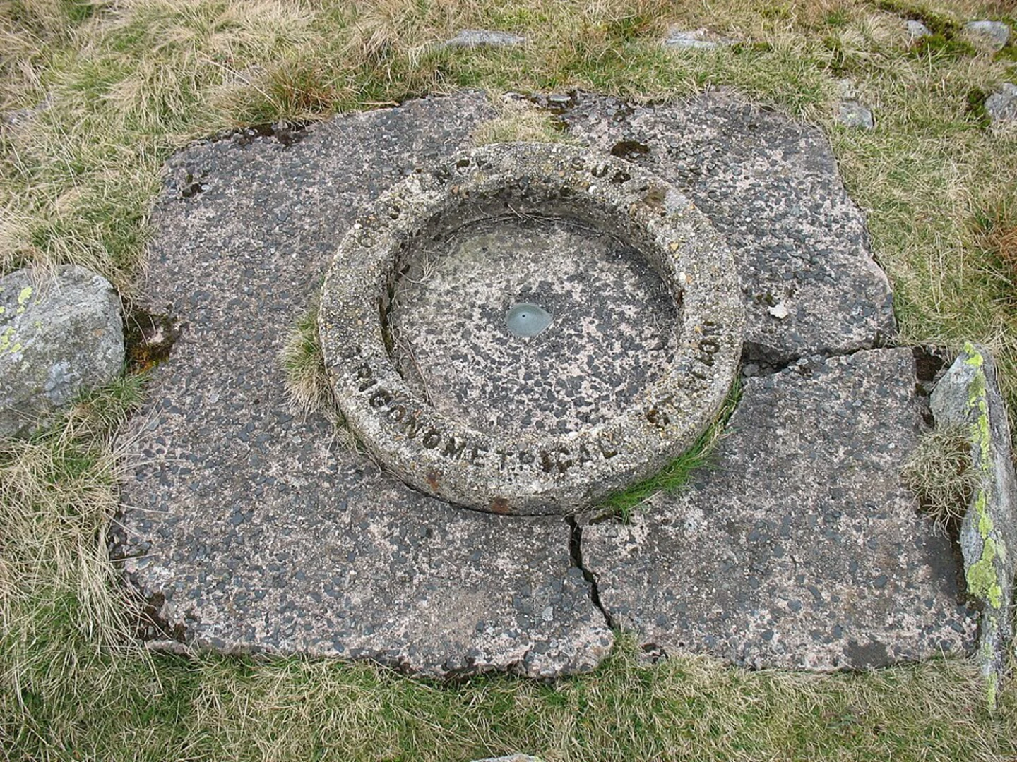 An image depicting the trail Seat Robert and Dog Hill Loop and its surrounding area.