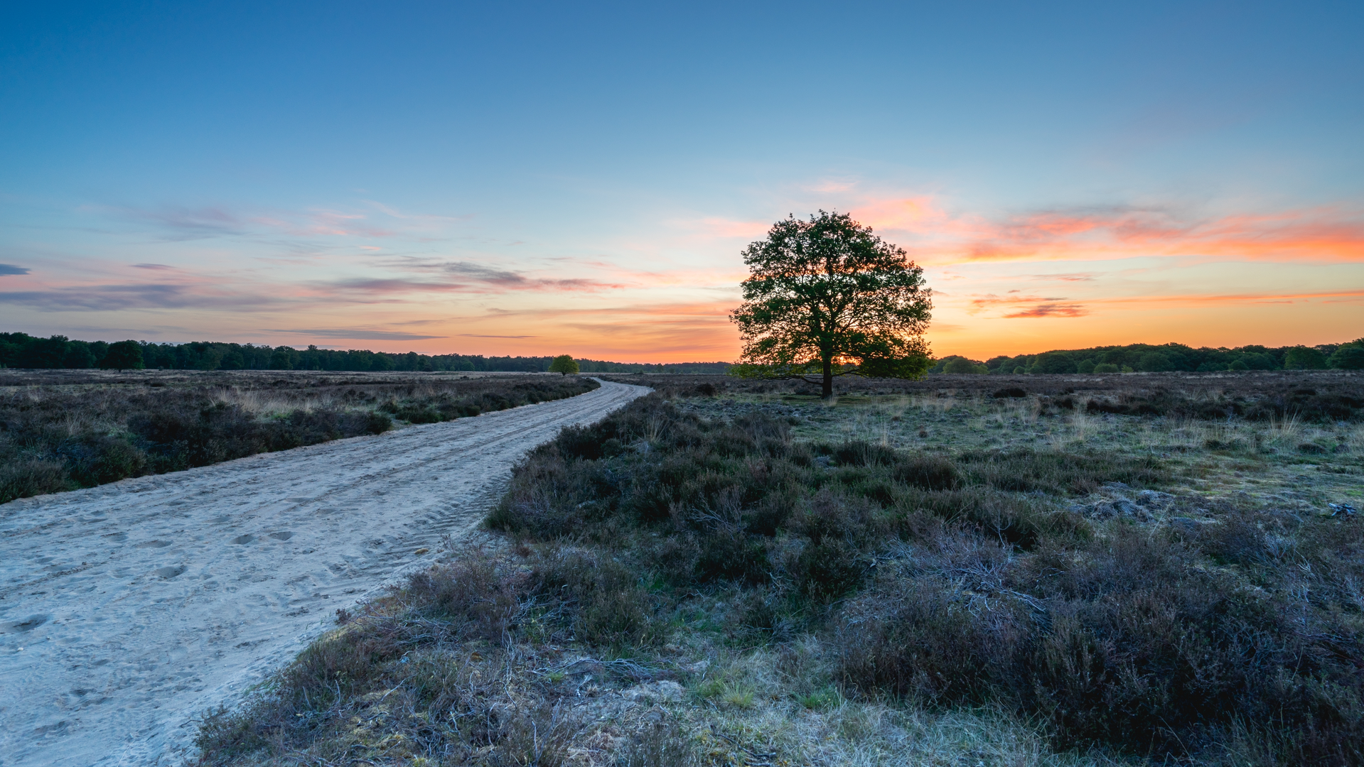 An image depicting the trail Kriemelberg, Paalberg and Ermelosche Heide Loop and its surrounding area.