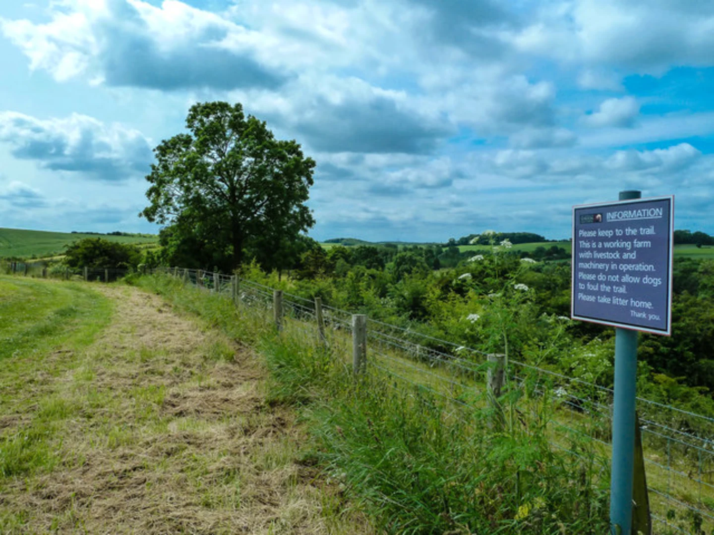 An image depicting the trail Renshaw Woods Loop and its surrounding area.